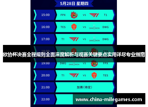 欧协杯决赛全程规则全面深度解析与观赛关键要点实用详尽专业指南 欧协杯决赛全程规则全面深度解析与观赛关键要点实用详尽专业指南