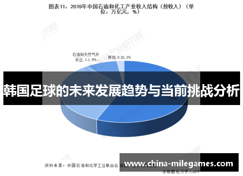韩国足球的未来发展趋势与当前挑战分析